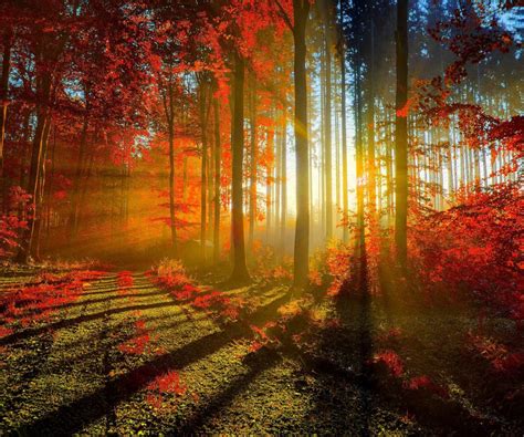 Autumn Sunrise Wallpapers - Wallpaper Cave