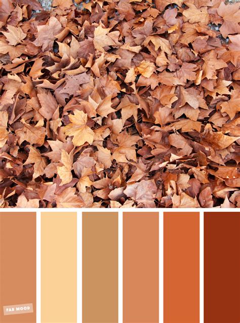 59 Pretty Autumn Color Schemes { Golden brown autumn leaves }