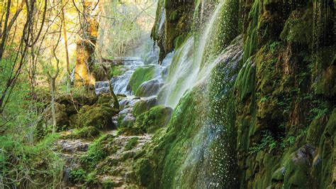 Gorman Falls | Texas Waterfall - Waterfalls Guide