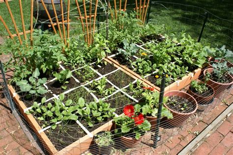 square foot vegetable garden layout