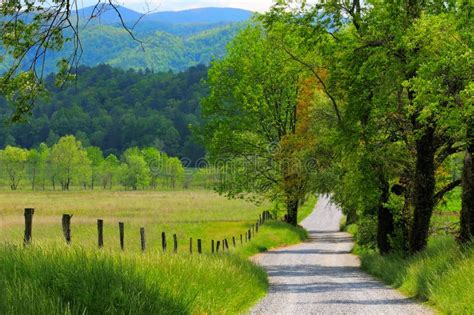 Country road landscape stock image. Image of peaceful - 5821031