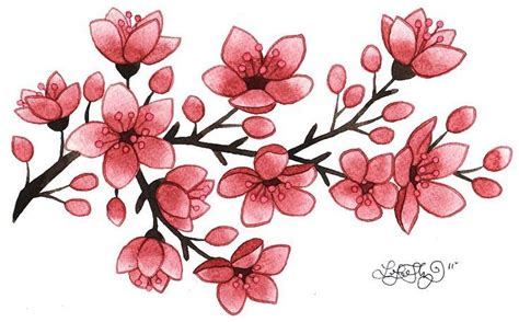 Sakura Flower Drawing