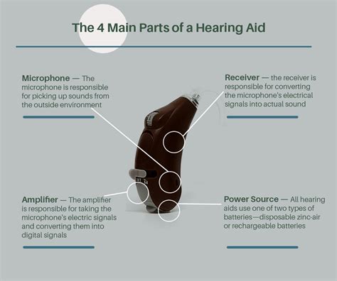 Hearing Aids 101: Parts, Functions, and Types of Hearing Aids