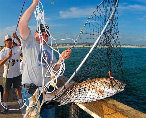 Sylvan Beach Pier Fishing Report - Unique Fish Photo