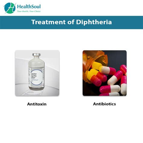 Diphtheria: Symptoms and Treatment | Internal Medicine | HealthSoul