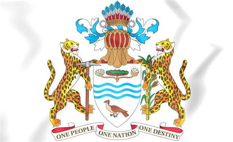 Guyana coat of arms stock illustration. Illustration of state - 85368025