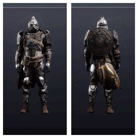 Sword or Shield? Precious Scars : r/DestinyFashion