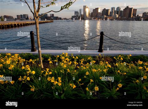 East Boston waterfront, Boston Harbor, skyline Stock Photo - Alamy