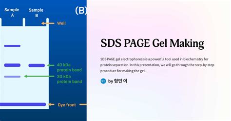 SDS PAGE Gel Making