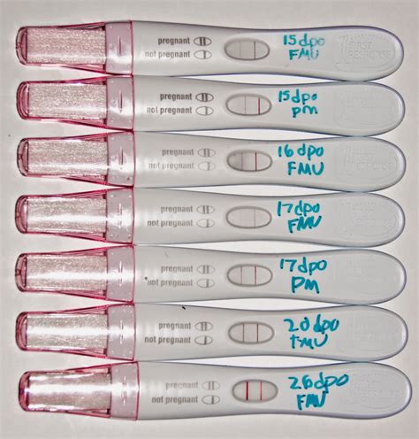 Everything About Pregnancy: What Is The Earliest Pregnancy Test For ...