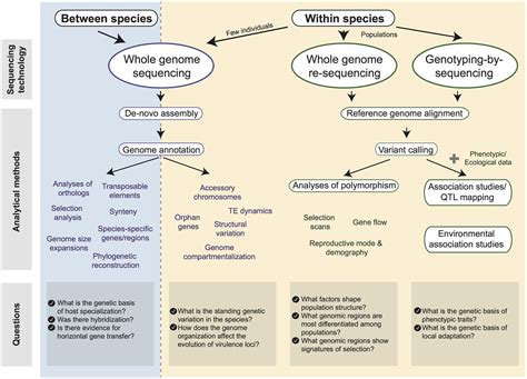 Publications | Evolutionary genomics of pathogens