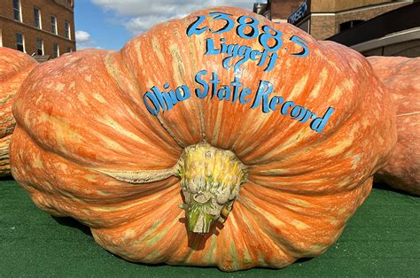 The Official Circleville Pumpkin Show Website - 2023 Largest Pumpkins