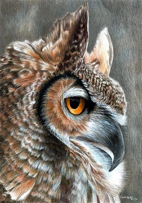 Pencil drawings of animals, Owl art print, Owl canvas art