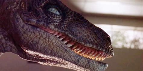 Cool Stuff: Get Your Very Own Jurassic Park Velociraptor Head Now