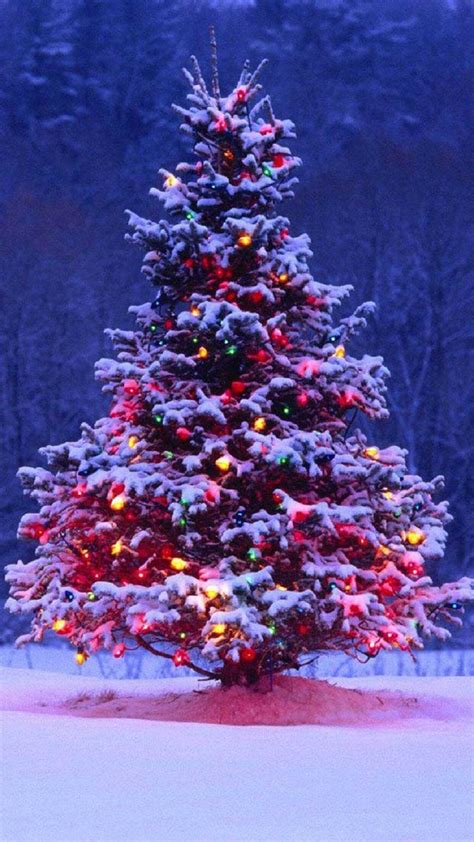 Christmas Tree Wallpaper - iXpap