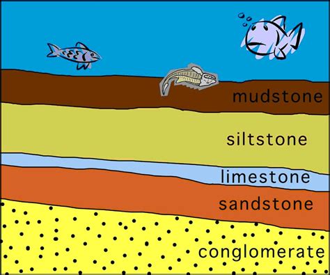 Speech on Sedimentary Rocks | Speech for School Assembly