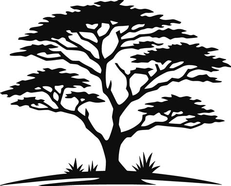 Acacia Tree Silhouette 37130775 Vector Art at Vecteezy