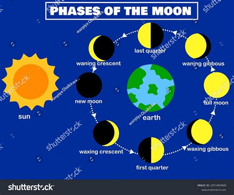 Phases Moonlunar Phaseearth Sunluna Lunar Cycle Stock Vector (Royalty ...