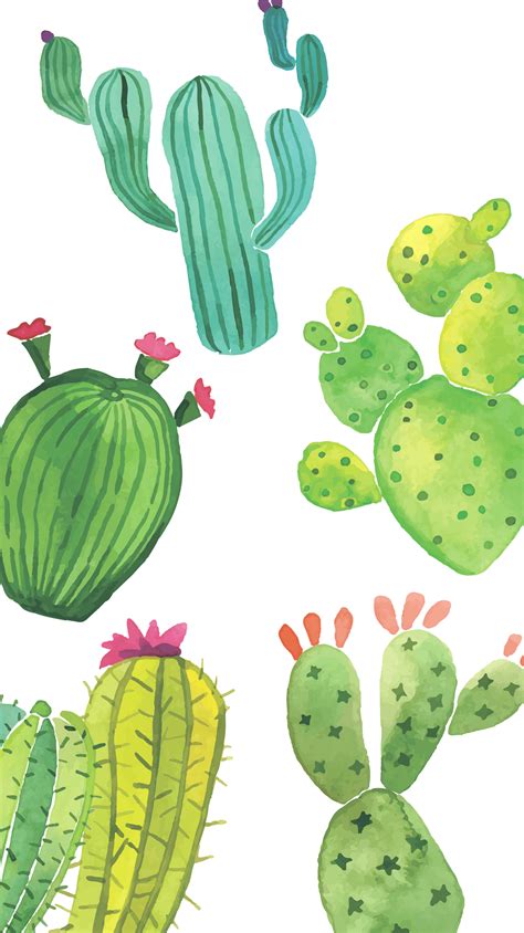 Cute Cactus Wallpapers - Wallpaper Cave