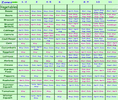 Printable Zone 8 Planting Guide