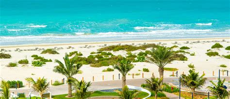 Things to do in Saadiyat Island: Saadiyat Beach, Louvre & More - MyBayut