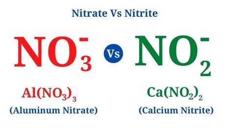 Nitrate Vs Nitrite