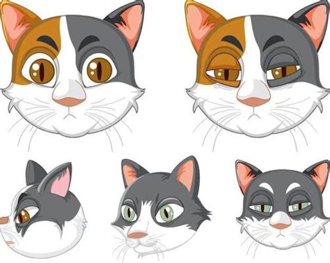 Cat Head Vector Art, Icons, and Graphics for Free Download