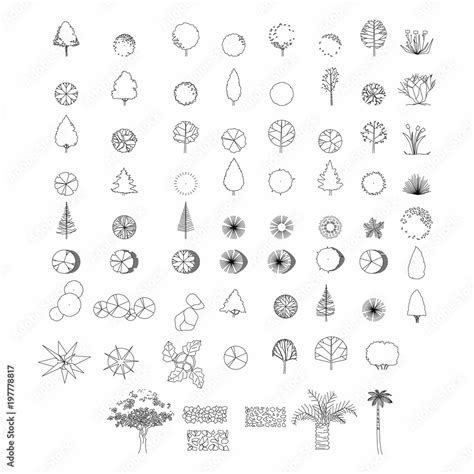 Top view and side view, set of graphics trees elements outline symbol ...