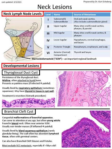 Neck Tumors | PDF | Lymphatic System | Diseases And Disorders