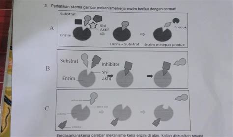 3. Bagaimanakah cara kerja enzim pada gambar A? Mengapa hanya substrat ...