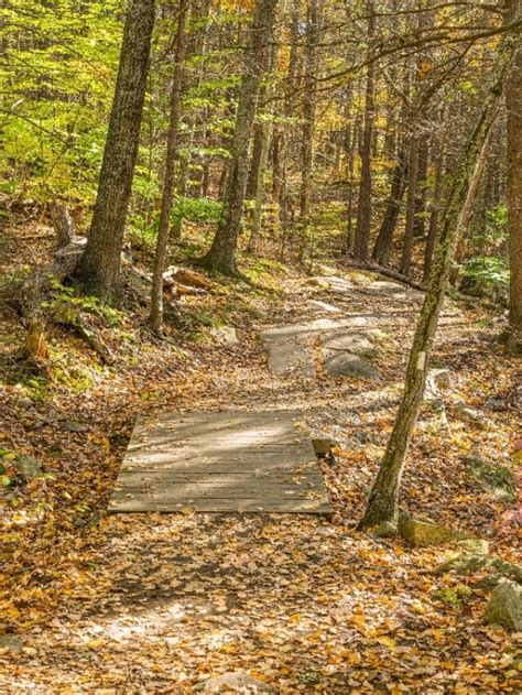 5 BEST Southern Maine Hiking Trails