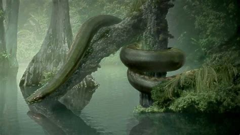 Titanoboa | The Parody Wiki | FANDOM powered by Wikia