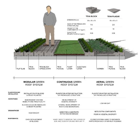 Comparison between the types of green roof and their structural ...