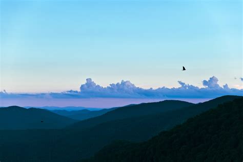 Skyline Drive, Shenandoah National Park [OC] [4922x3282] : r/EarthPorn