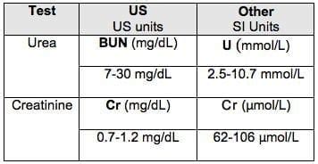 Normal Creatinine And Urea Levels | Hot Sex Picture