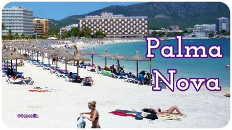 Witness the Allure of Palma Nova Beach through Live Webcams