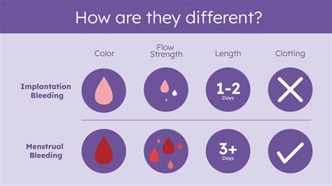 Implantation Bleeding Vs Period How To Tell The Difference – Themelower