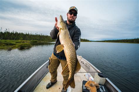 Tips for Northern Pike Fishing in Canada | Arctic Lodges