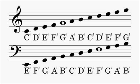 Names and types of musical notes, musical symbols (2023)