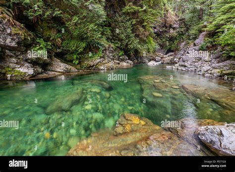 30 Foot Pool in Lynn Canyon Park Stock Photo - Alamy