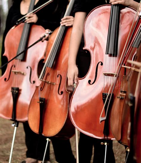 bowed-stringed-instrument-cello-cellos-1203282 – Attila Szasz Cello Studio