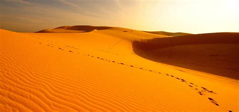 Desert Oasis Meditation - For deep recharge