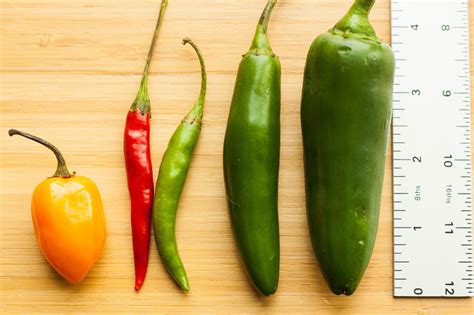 A Guide to Common Hot Peppers | Kitchn