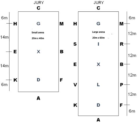 Equestrian Movement - What do the Dressage Letters REALLY mean?