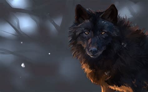 2560x1440 resolution | black wolf artwork, wolf HD wallpaper ...