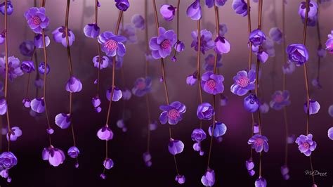 flowers, Purple flowers Wallpapers HD / Desktop and Mobile Backgrounds