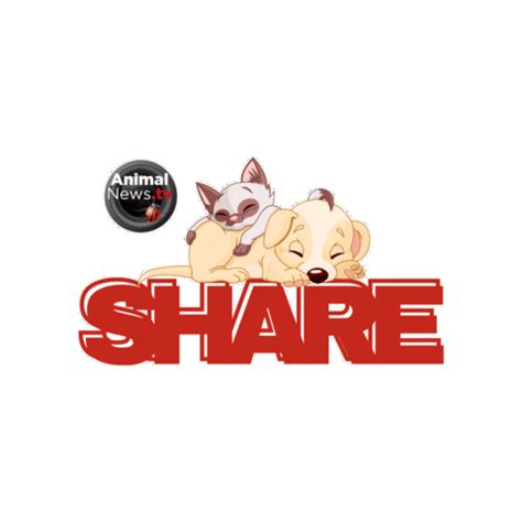 Share Love Sticker by AnimalNewstTV