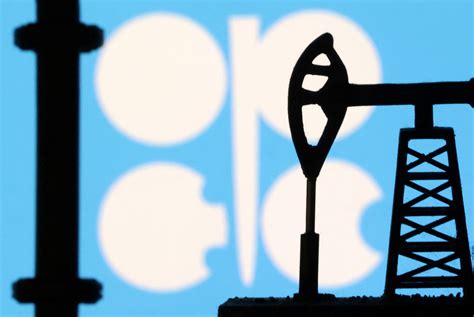 OPEC+ expects global economy to weather challenges | Reuters