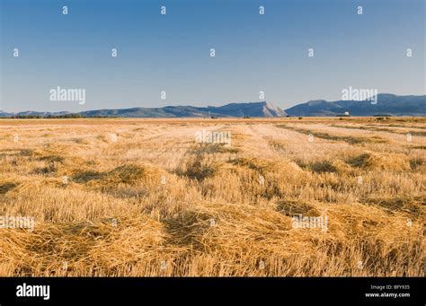 Spanish meseta landscape hi-res stock photography and images - Alamy