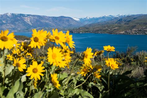 Hiking in Lake Chelan - Lake Chelan Chamber of Commerce